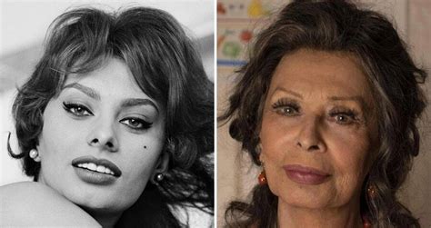 sophia loren hot|Sophia Loren through the years: 18 Rare.